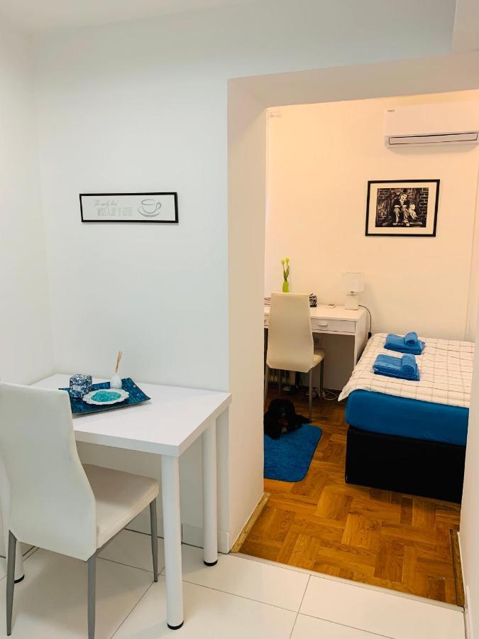 Studio Apartment Ivana Ζάγκρεμπ Εξωτερικό φωτογραφία